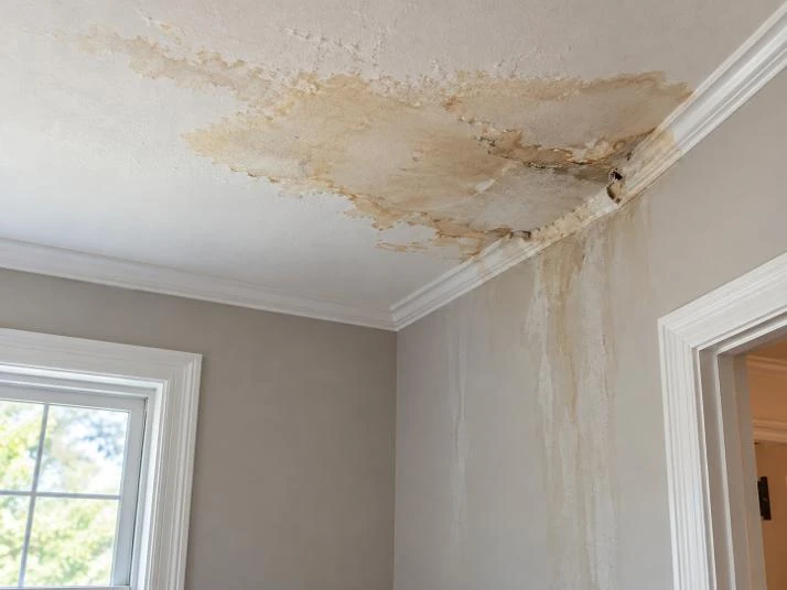 Water staining spreading across a ceiling and down an interior wall.